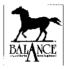 BALANCE A LIQUID VITAMIN A HORSE SUPPLEMENT