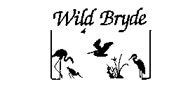 WILD BRYDE