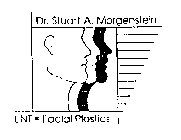 DR. STUART A. MORGENSTEIN ENT FACIAL PLASTICS