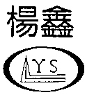 YS