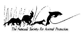 THE NATIONAL SOCIETY FOR ANIMAL PROTECTION