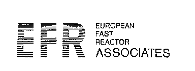EFR EUROPEAN FAST REACTOR ASSOCIATES