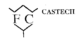 FC CASTECH