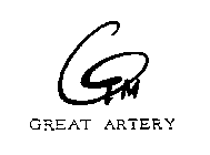 GTM GREAT ARTERY