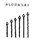 BLOOMERS
