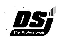 DSI THE PROFESSIONALS