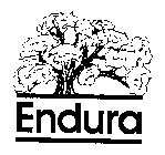 ENDURA