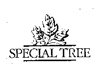 SPECIAL TREE