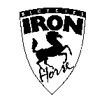BICYCLES IRON HORSE