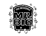 THE INCREDIBLE MR. BIG