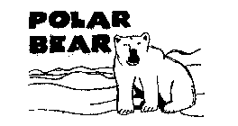 POLAR BEAR