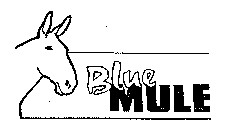 BLUE MULE