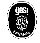 YES! BANANAS