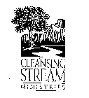 CLEANSING STREAM MINISTRIES