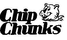 CHIP CHUNKS