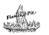 FLAMING PIT