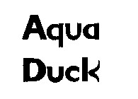 AQUA DUCK