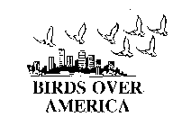 BIRDS OVER AMERICA