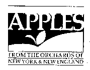 APPLES FROM THE ORCHARDS OF NEW YORK & NEW ENGLAND