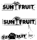 SUN FRUIT