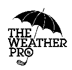 THE WEATHER PRO