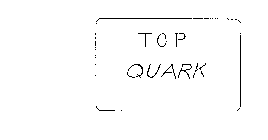 TOP QUARK