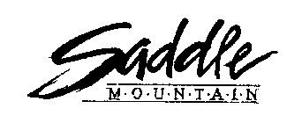 SADDLE MOUNTAIN