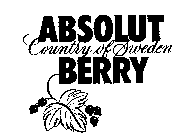 ABSOLUT COUNTRY OF SWEDEN BERRY