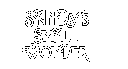 SANDY'S SMALL WONDER