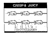 CRISP & JUICY