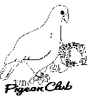 THE PIGEON CLUB