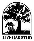 LIVE OAK STUD