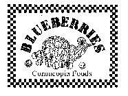 BLUEBERRIES CORNUCOPIA FOODS