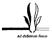 AD DEFINITUM FINEM