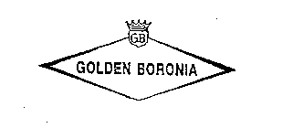 GB GOLDEN BORONIA