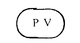 P V