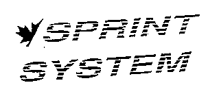 SPRINT SYSTEM