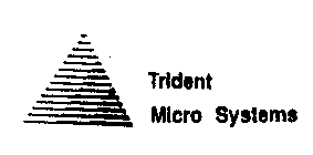 TRIDENT MICRO SYSTEMS