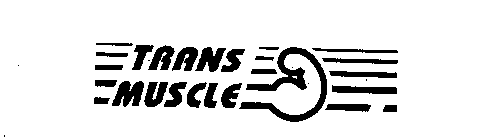 TRANS MUSCLE