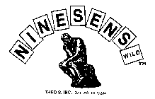 NINESENS WILD THEO'S, INC. DALLAS, TX 75234