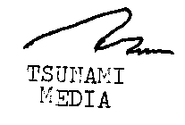 TSUNAMI MEDIA