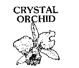 CRYSTAL ORCHID
