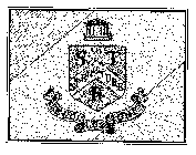 STR STRUCTURE LE COLLEZIONI