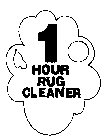 1 HOUR RUG CLEANER