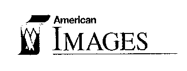 AMERICAN IMAGES