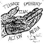 T.E.A.M. TEENAGE EMERGENCY ACTION MEDIA BY STERLING G. STAHLER FOUNDER, PRESIDENT