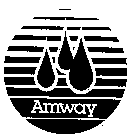 AMWAY