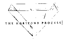 THE HORIZONS PROCESS