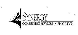 SYNERGY CONSULTING SERVICES CORPORATION