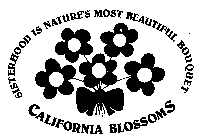 SISTERHOOD IS NATURE'S MOST BEAUTIFUL BOUQUET CALIFORNIA BLOSSOMS